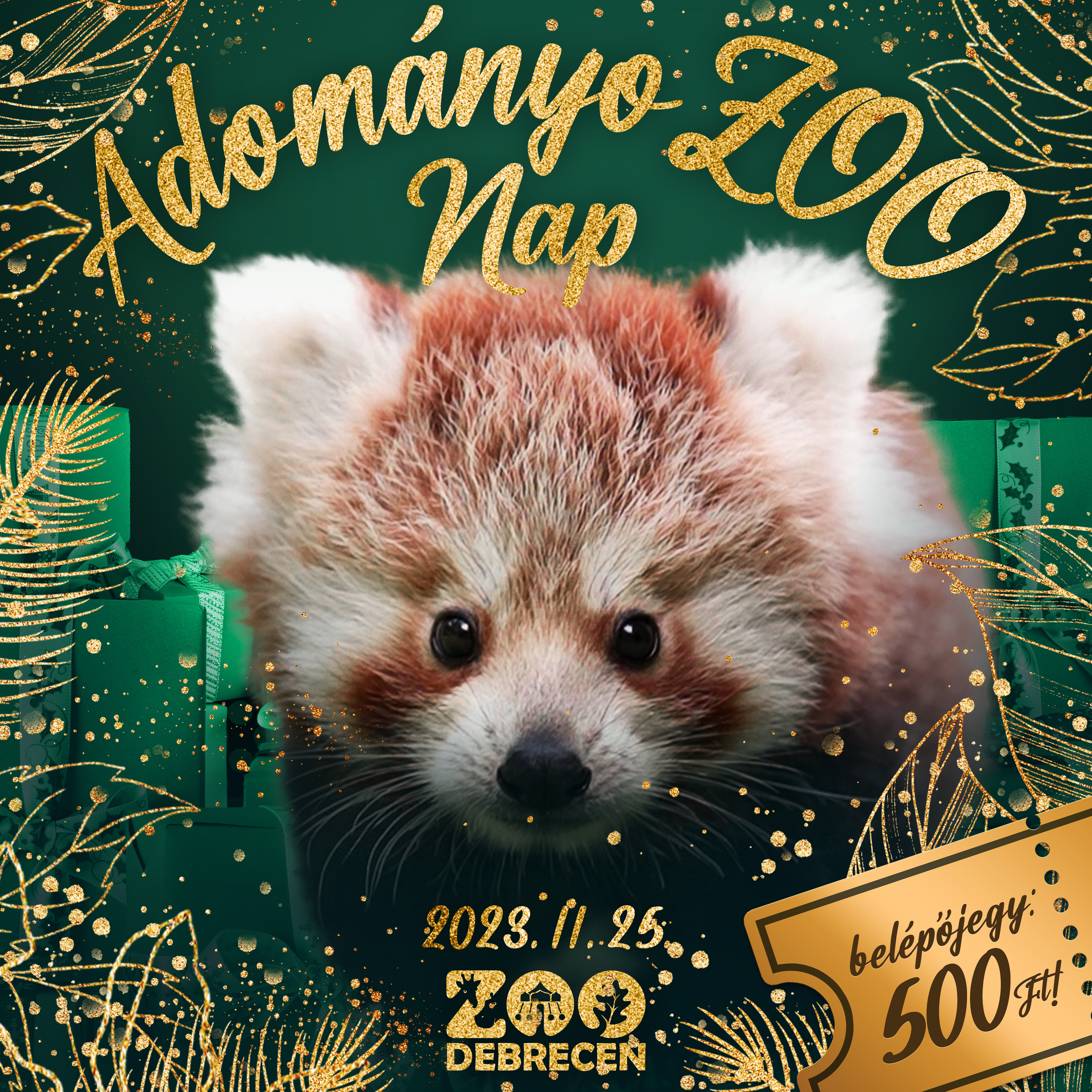 Ismét AdományoZOO Napra készül a Zoo Debrecen! Hírek | Online Rádió - Egy Lépéssel Közelebb Hozzád! _ LépésRádió
